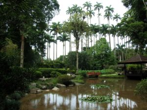 Botanical Gardens In Rio de Janeiro