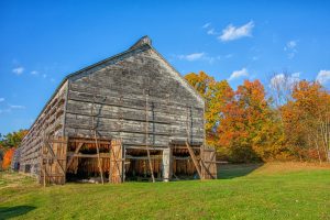 Tobacco Barn With Tobacco Drying