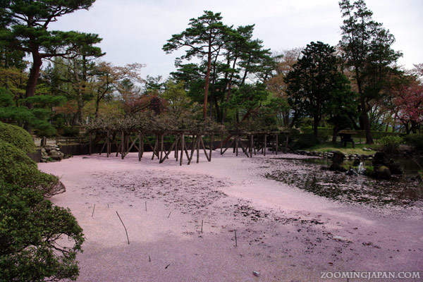 Exploring Senshu Park: A Detailed Review Nearby Attractions and Activities around Senshu Park