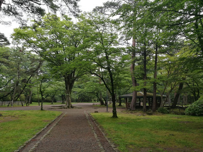 Senshu Park Review: A Comprehensive Guide Flora and fauna in Senshu Park