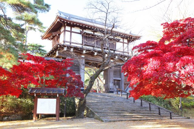 The History and Significance of Senshu Park The Design and Layout of Senshu Park