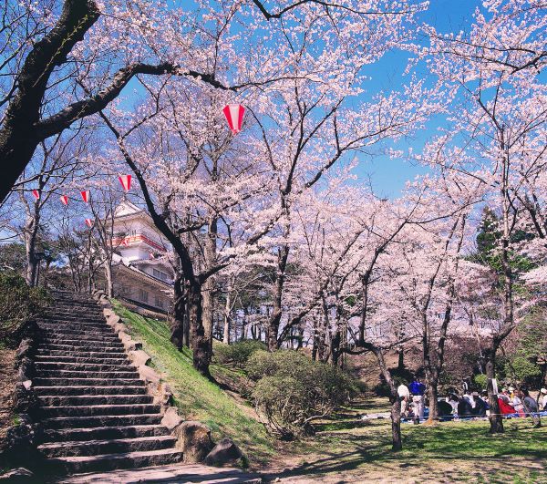 The History and Significance of Senshu Park The Significance of Senshu Park